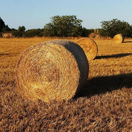 Son Camaro Prázdninový dům *