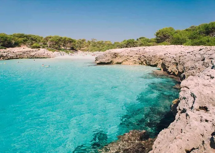 Son Camaro סיוטאדלה